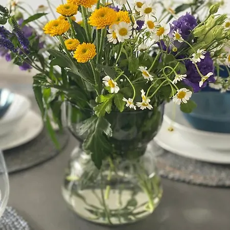 Gradus Dunajská Streda