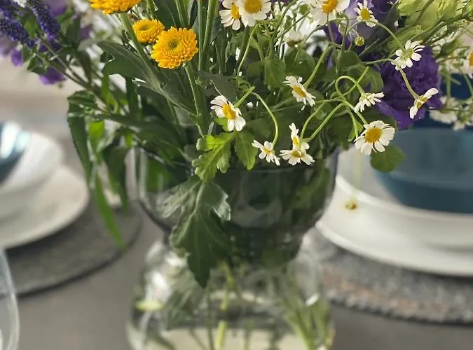 Gradus Dunajská Streda